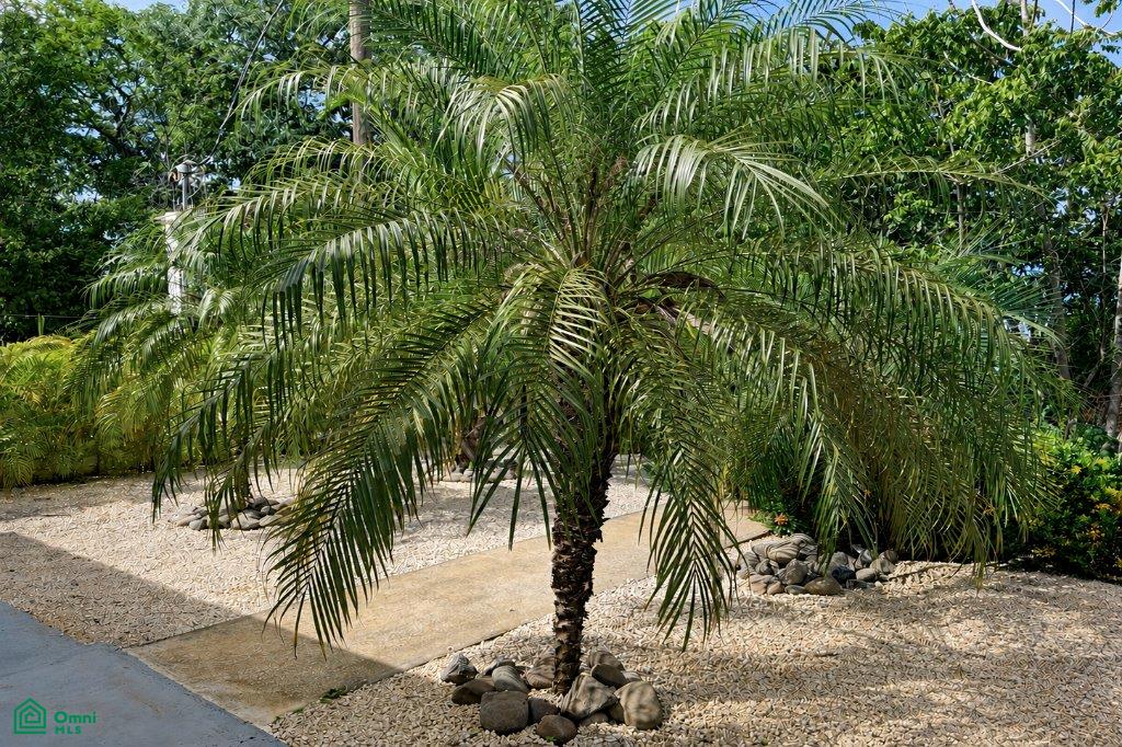 Beach Hut – Lot F1 Playa Lagarto