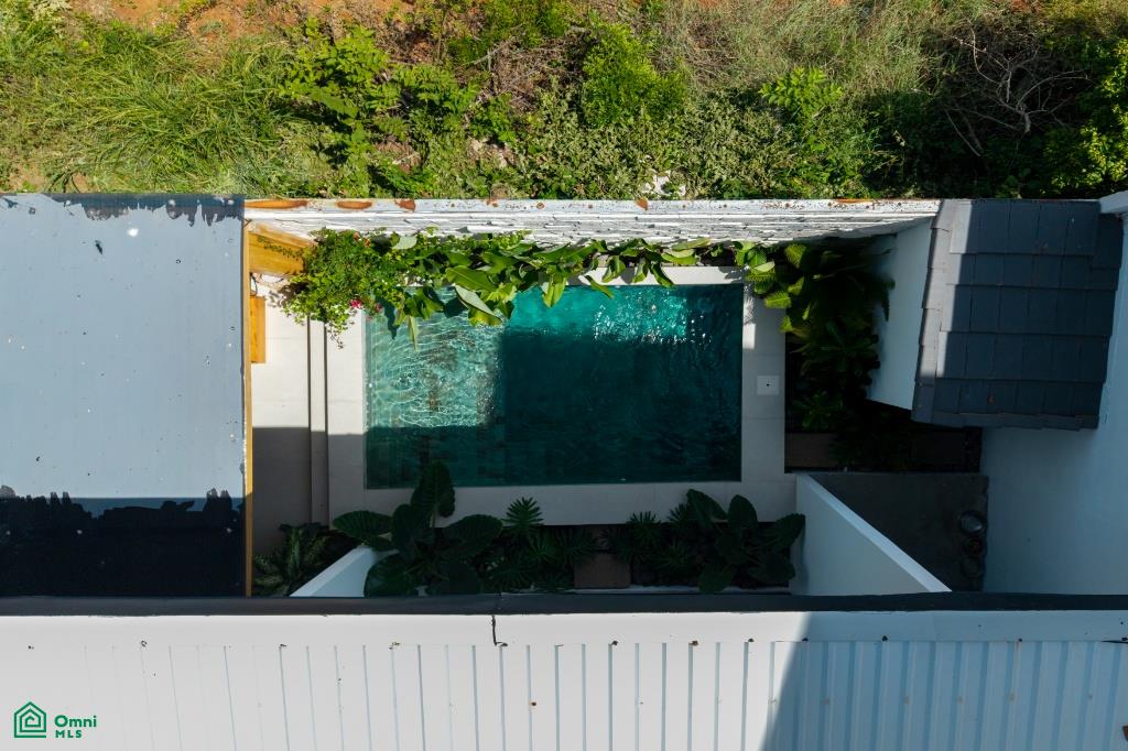 Villa Alocasia