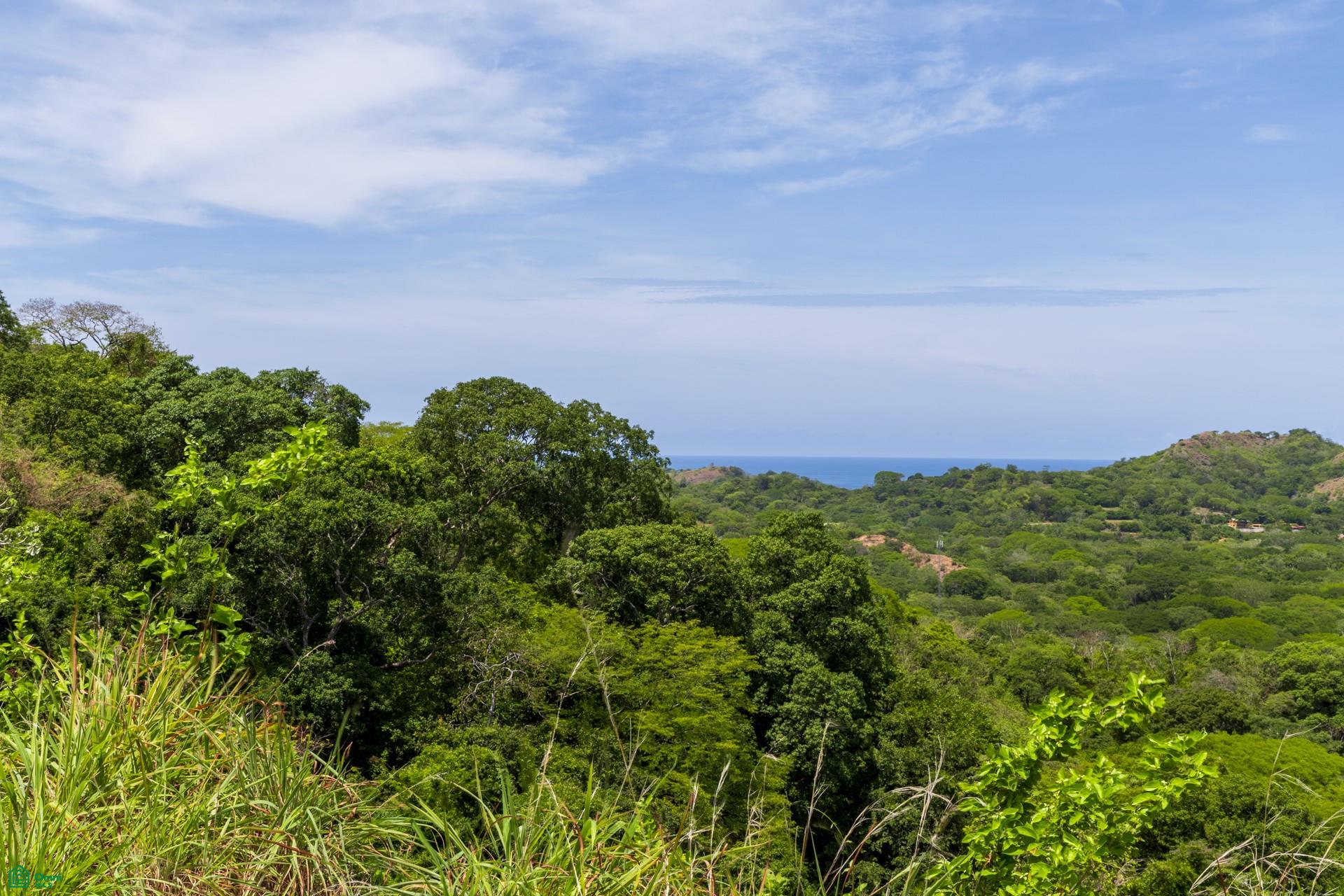 Guayacan Lot 2