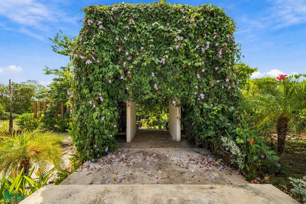 Coco Garden Penthouse