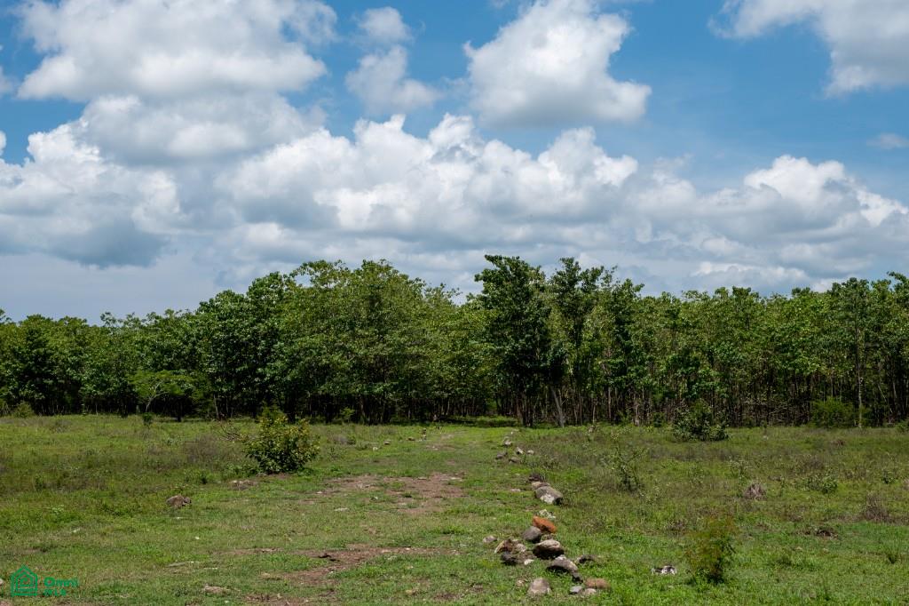 Colven Liberia Lot