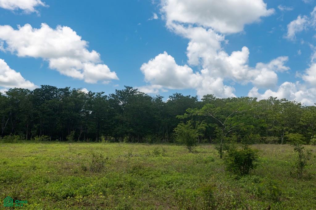 Colven Liberia Lot