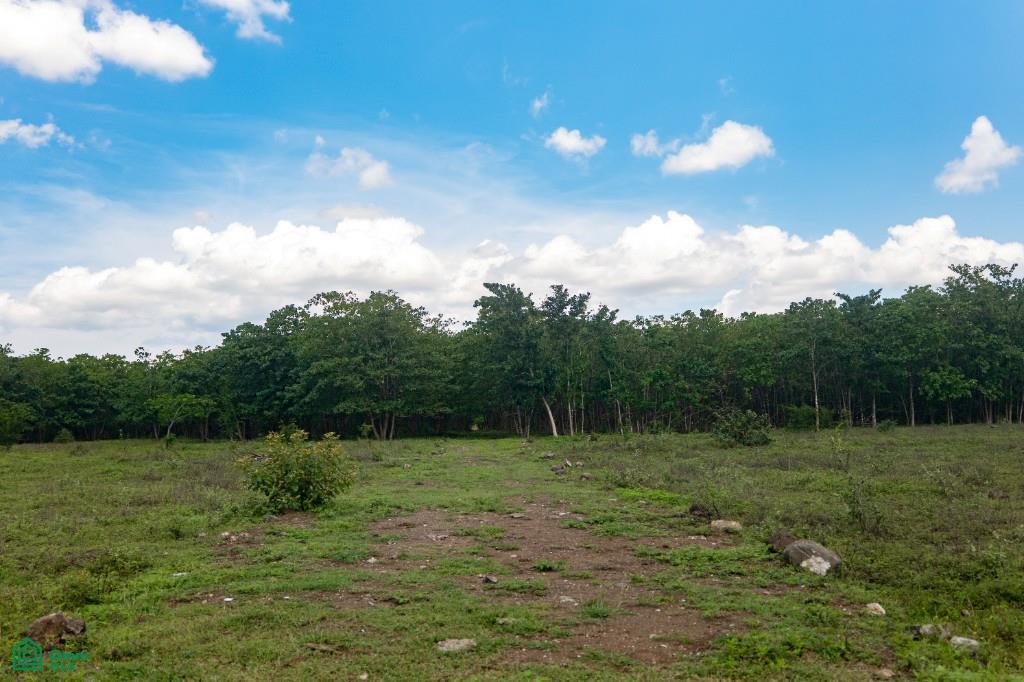 Colven Liberia Lot