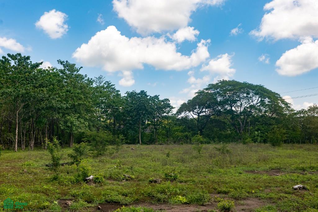 Colven Liberia Lot