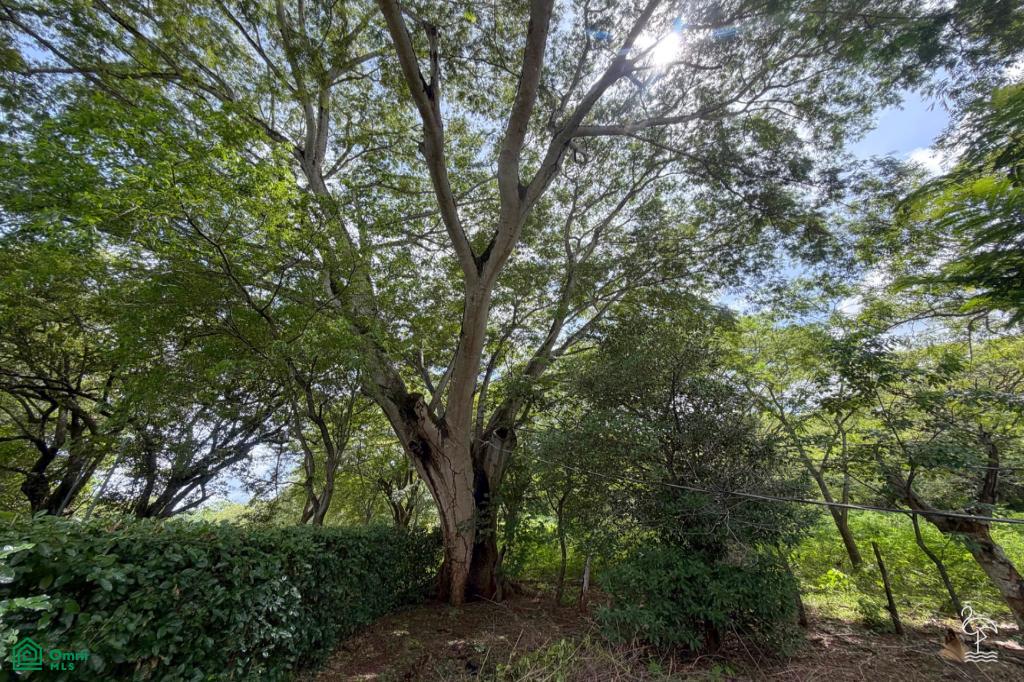 Ada la Bella Garden Estate