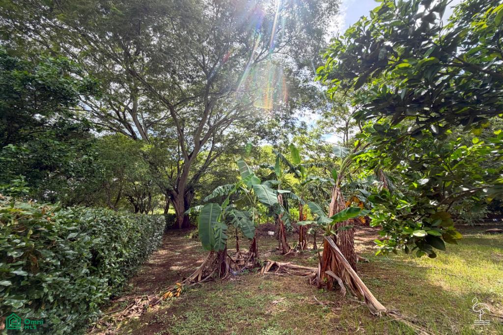 Ada la Bella Garden Estate
