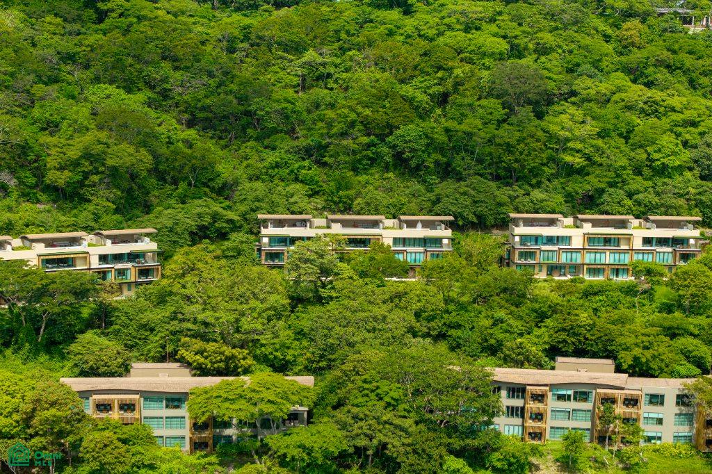 Andaz 1132