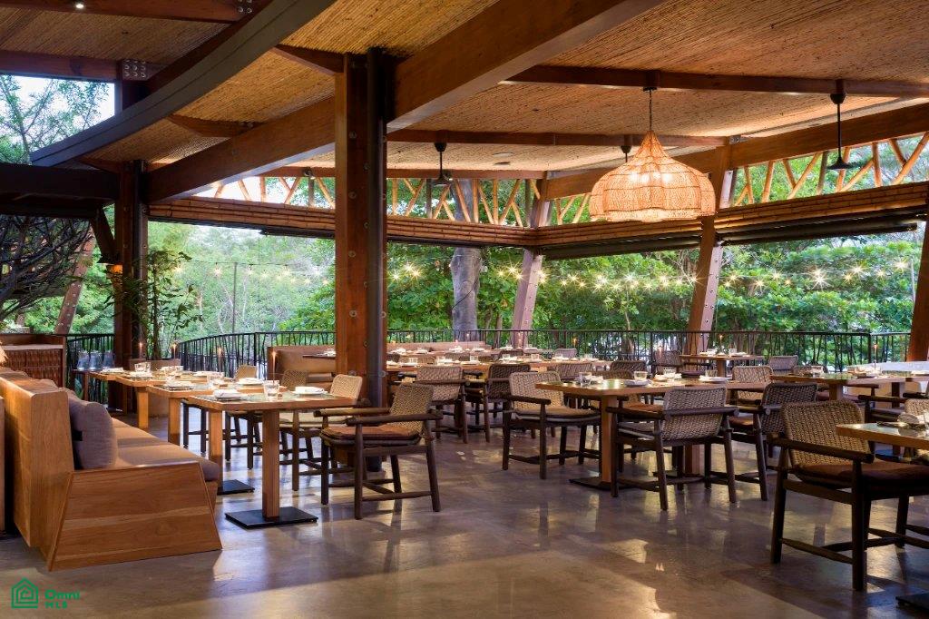 Andaz 1132
