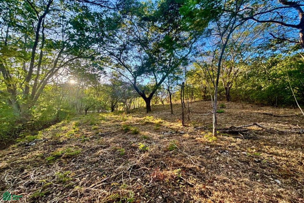 Development-Ready Lot Portegolpe