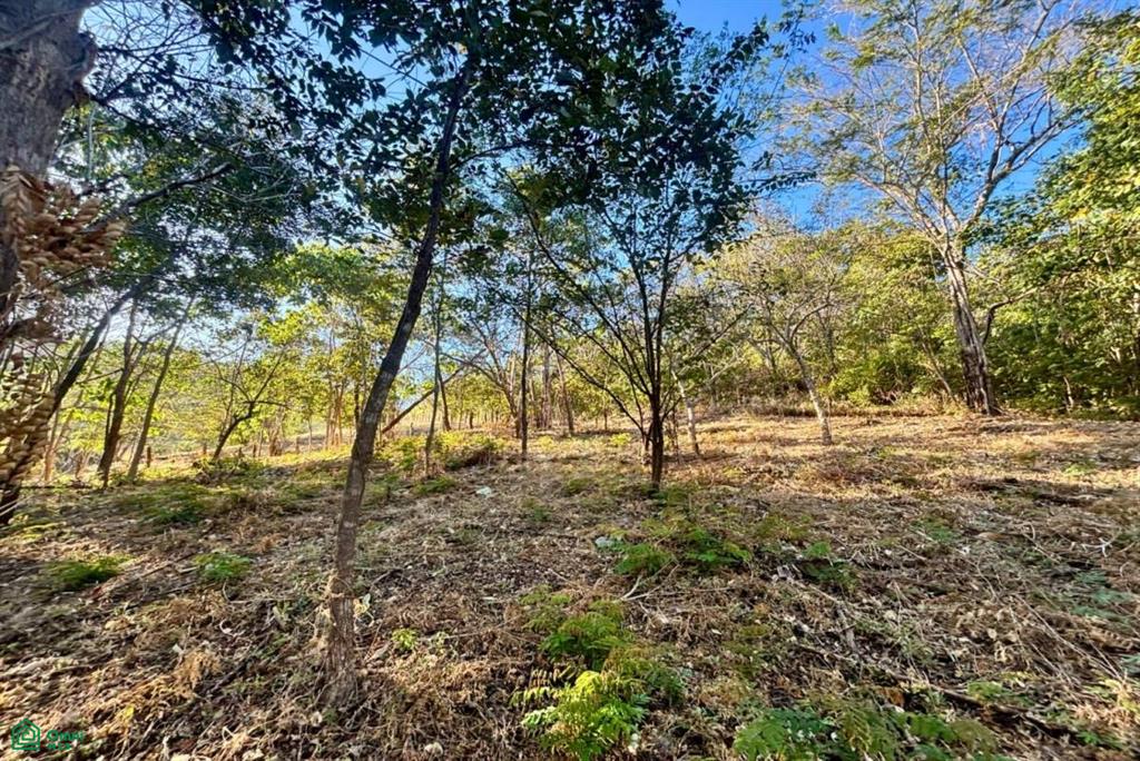 Development-Ready Lot Portegolpe