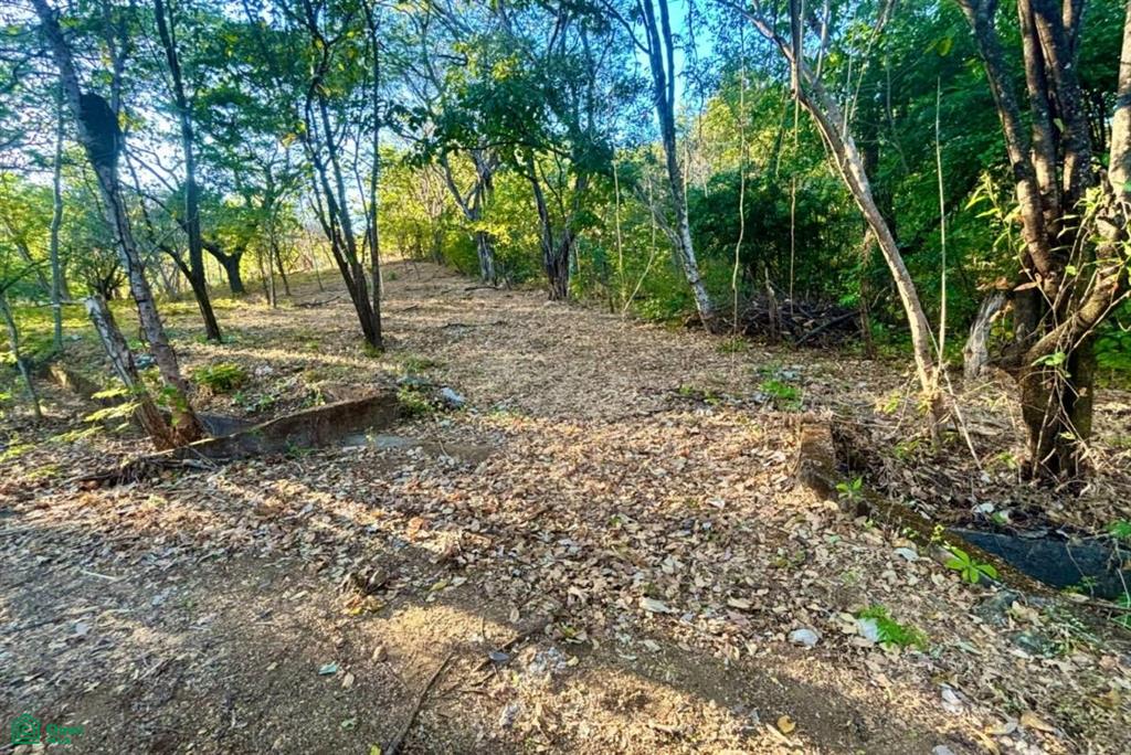 Development-Ready Lot Portegolpe