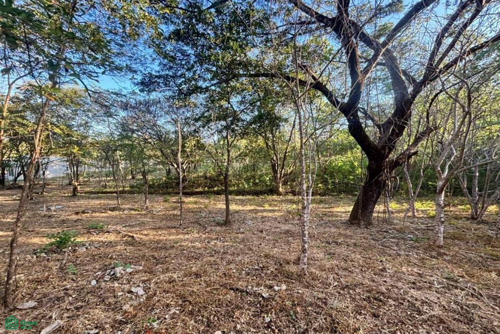 Development-Ready Lot Portegolpe