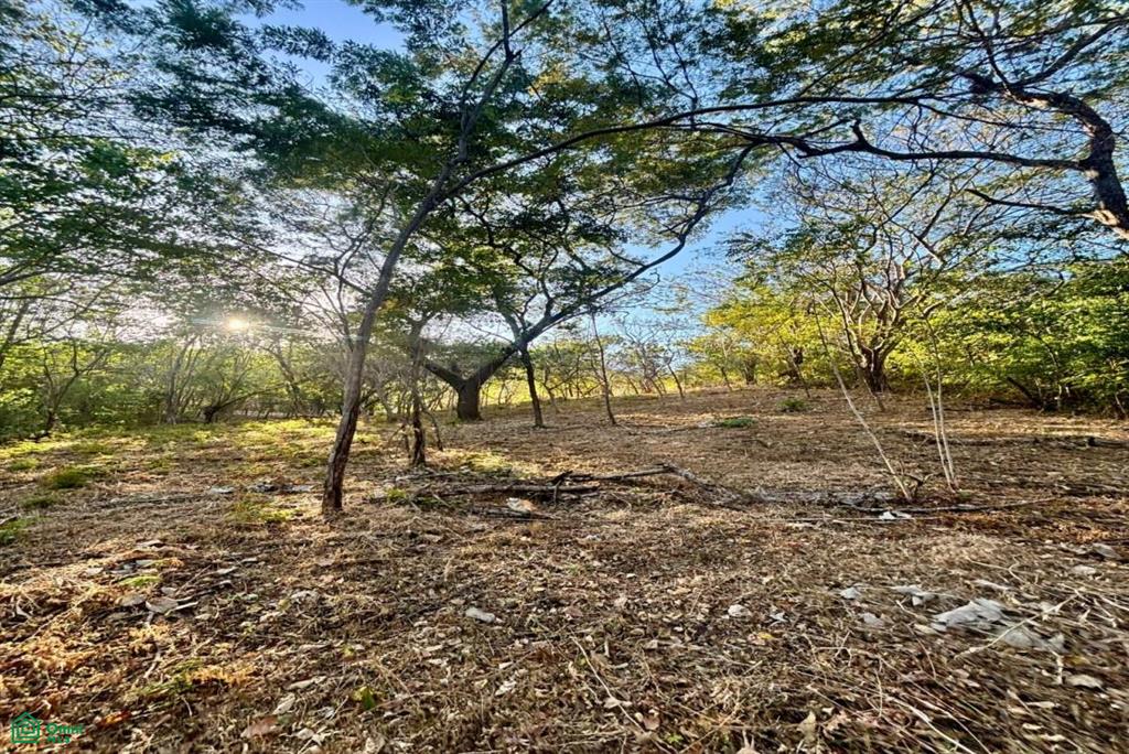 Development-Ready Lot Portegolpe