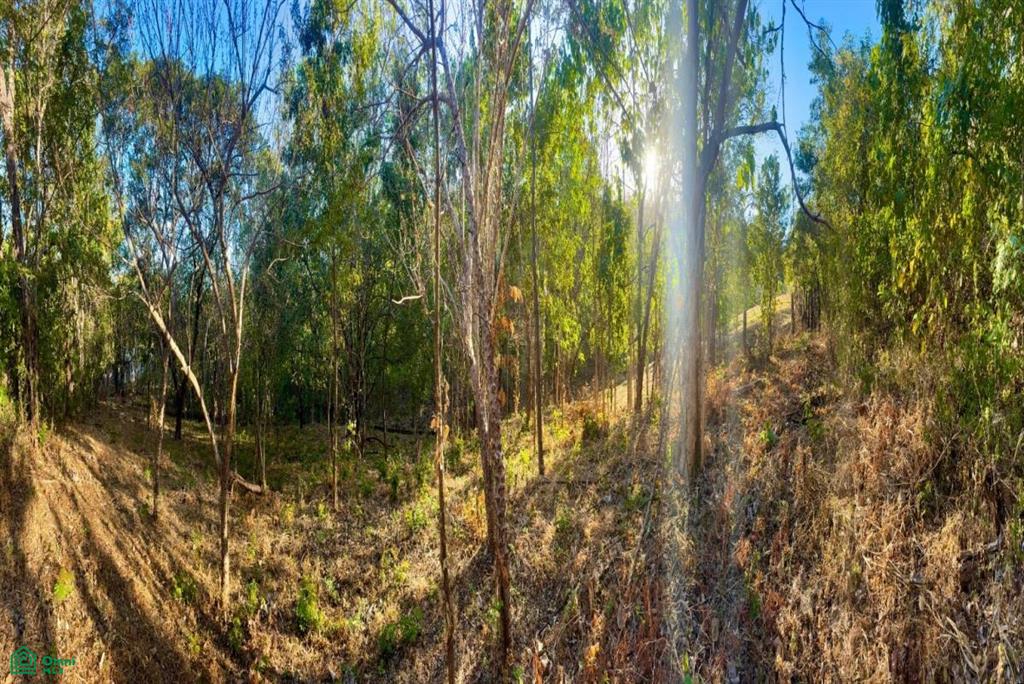 Development-Ready Lot Portegolpe