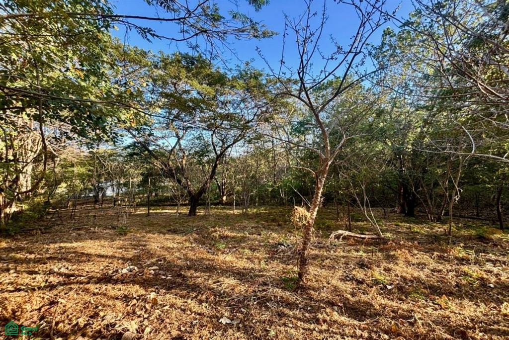Development-Ready Lot Portegolpe