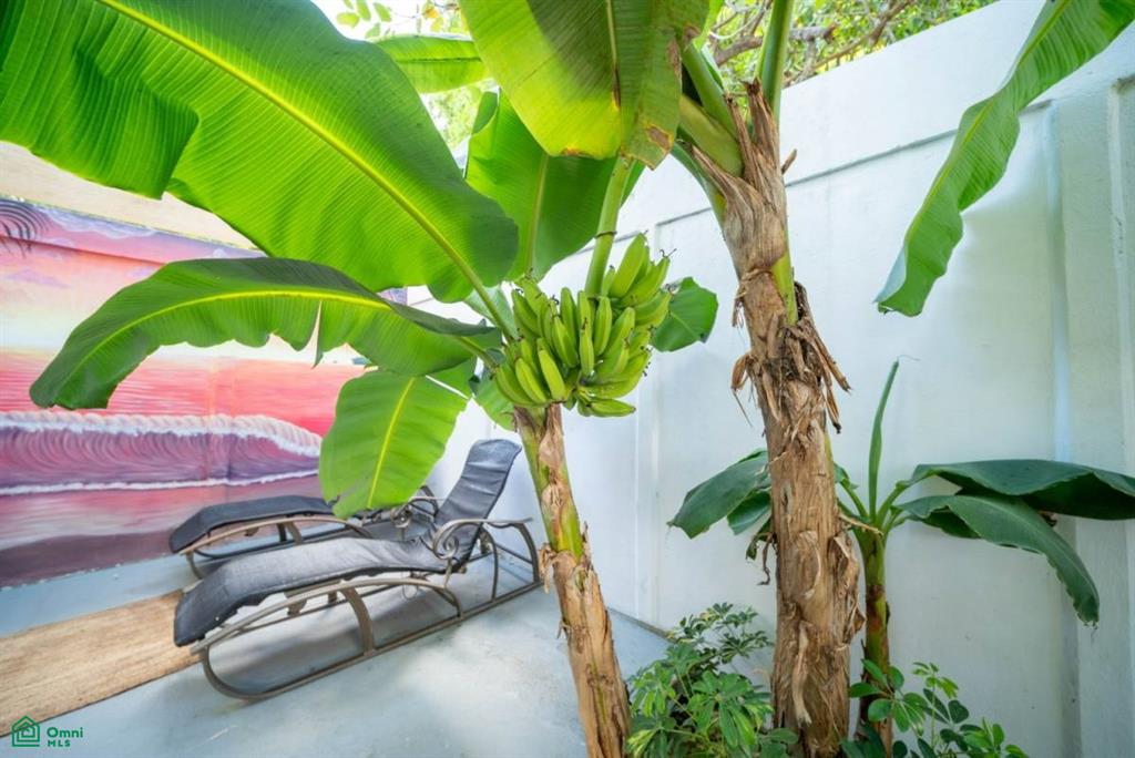 Hotel Curiol: Boutique Hotel Opportunity in Potrero, with Expansion Potential