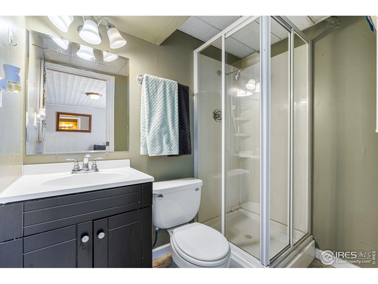 Bathroom with a dark vanity, white sink, toilet, and glass-enclosed shower.