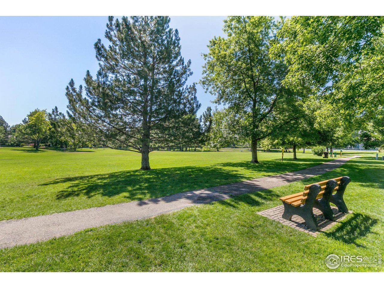 Shady park with a winding path, mature trees, and two benches beside a broad lawn.