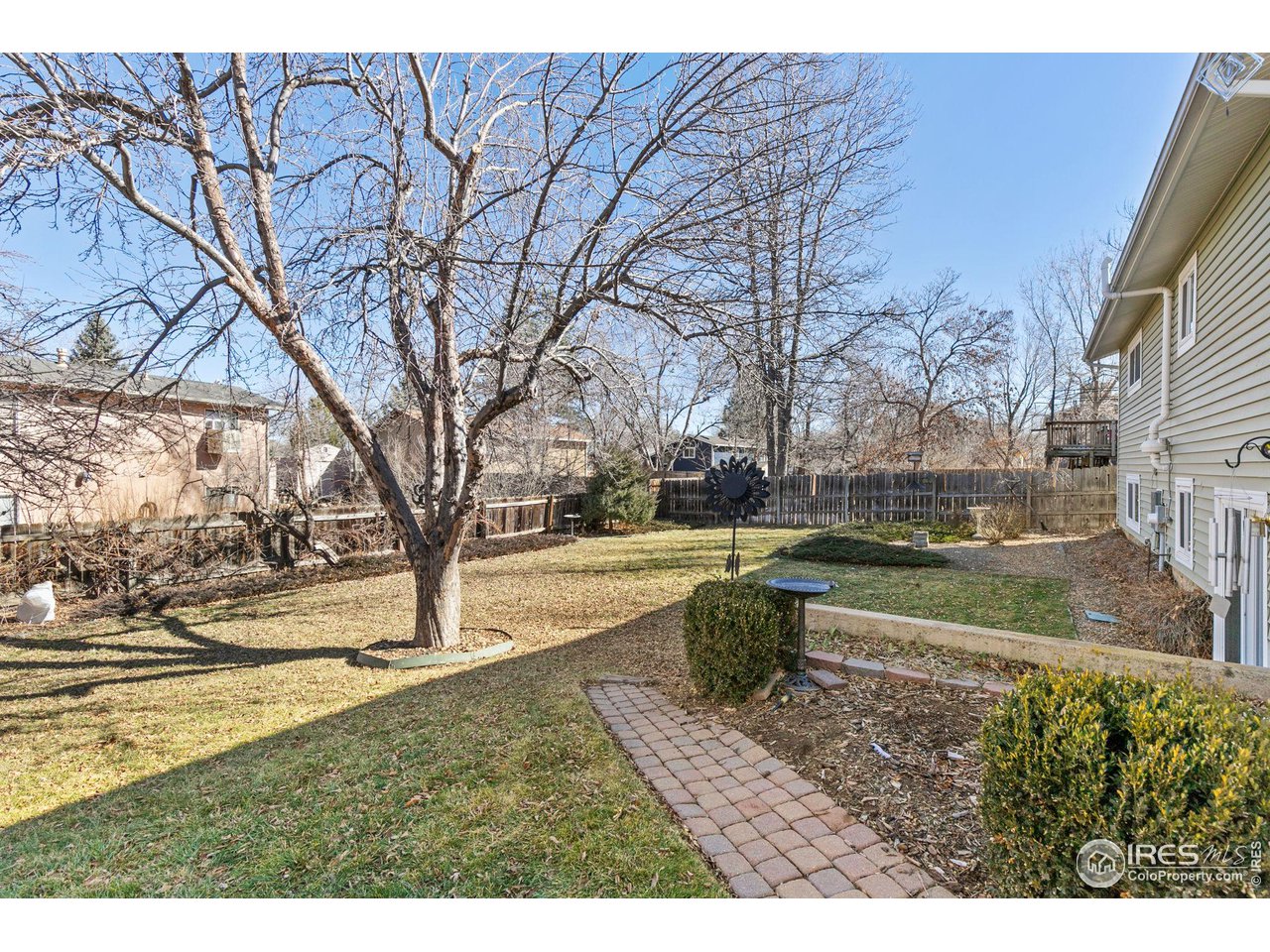 Backyard with a large leafless tree, fenced lawn, and curved paver path beside the house.