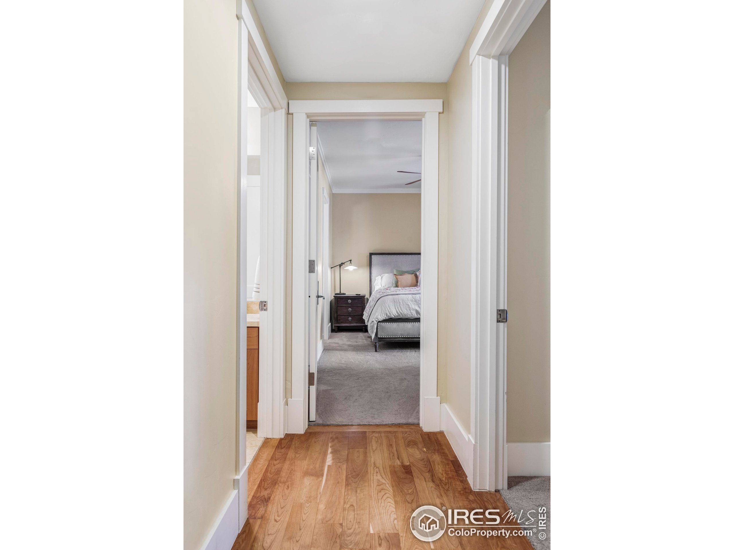 1301 Canyon Blvd 207