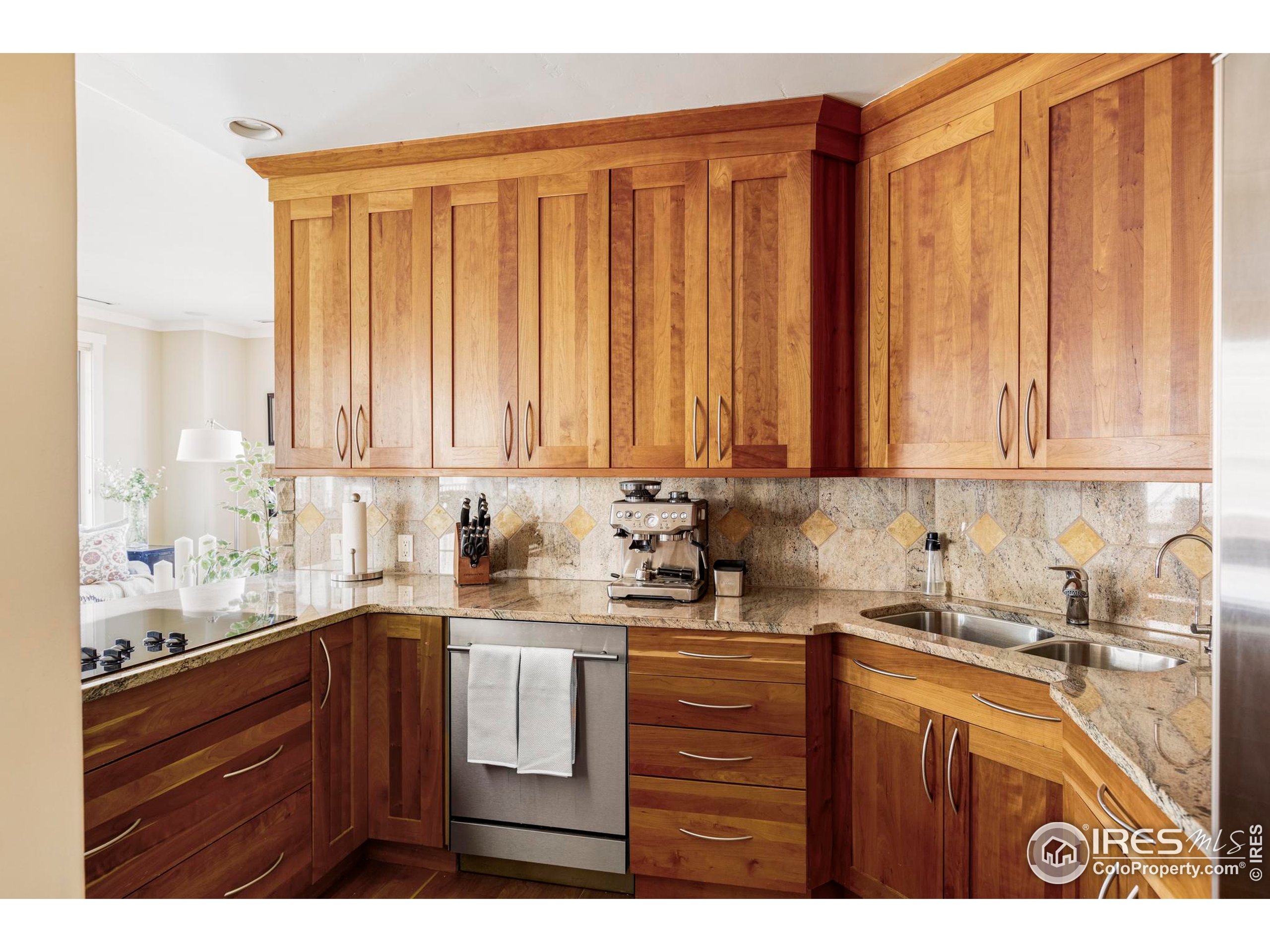 1301 Canyon Blvd 207