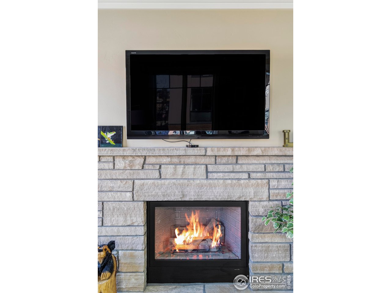 1301 Canyon Blvd 207