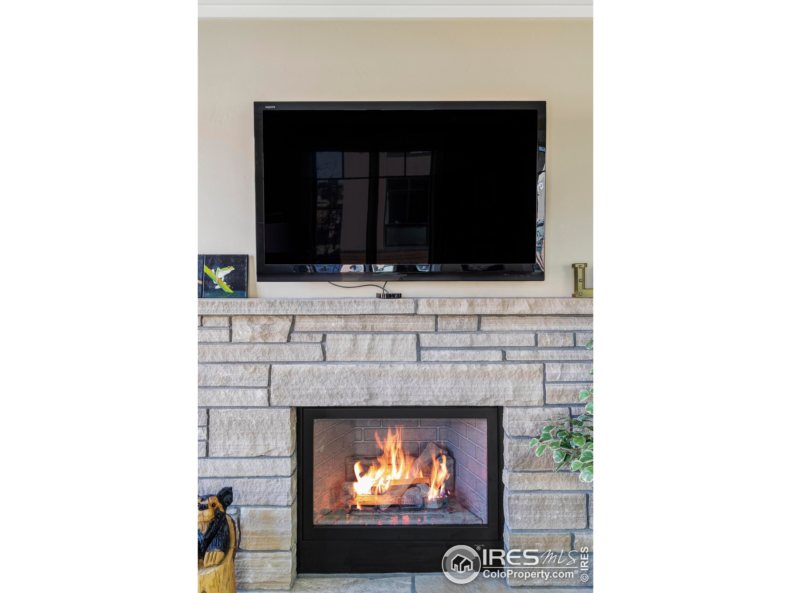 1301 Canyon Blvd 207