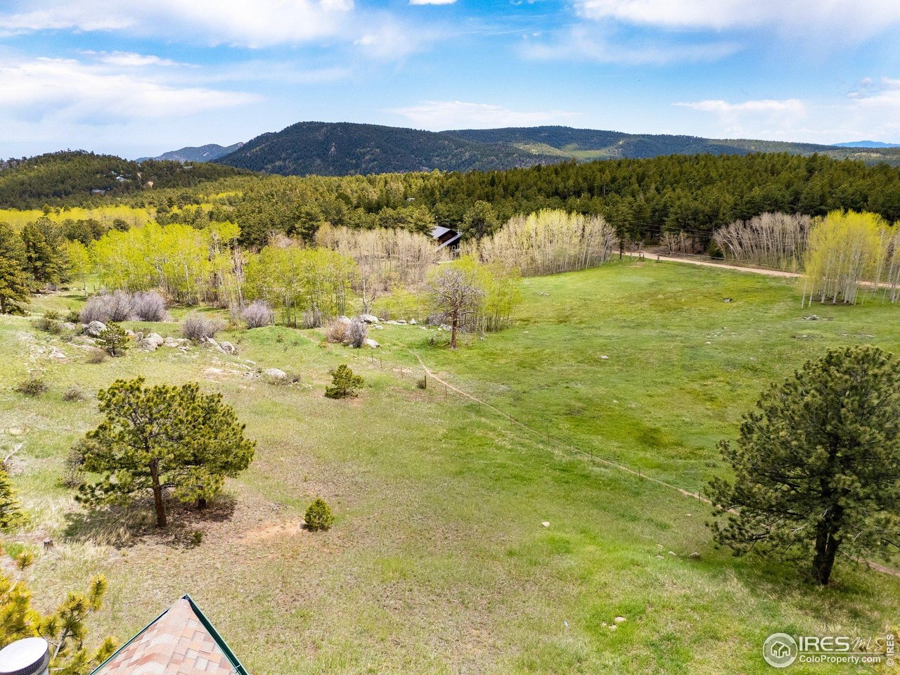 Aerial view of a broad meadow bordered by aspens and pine forest, with mountains beyond.