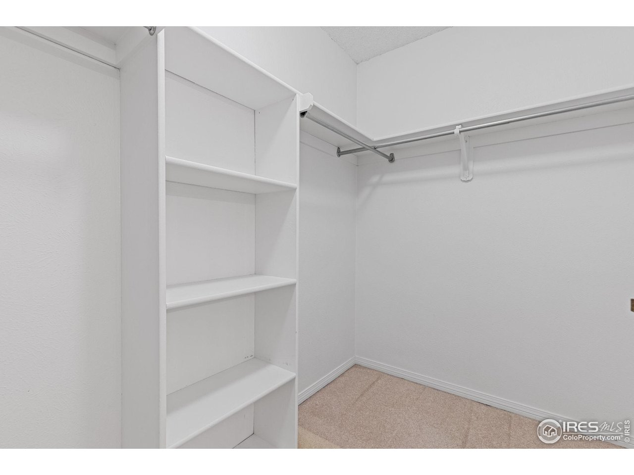 Empty walk-in closet with built-in white shelves, hanging rods, and beige carpet.