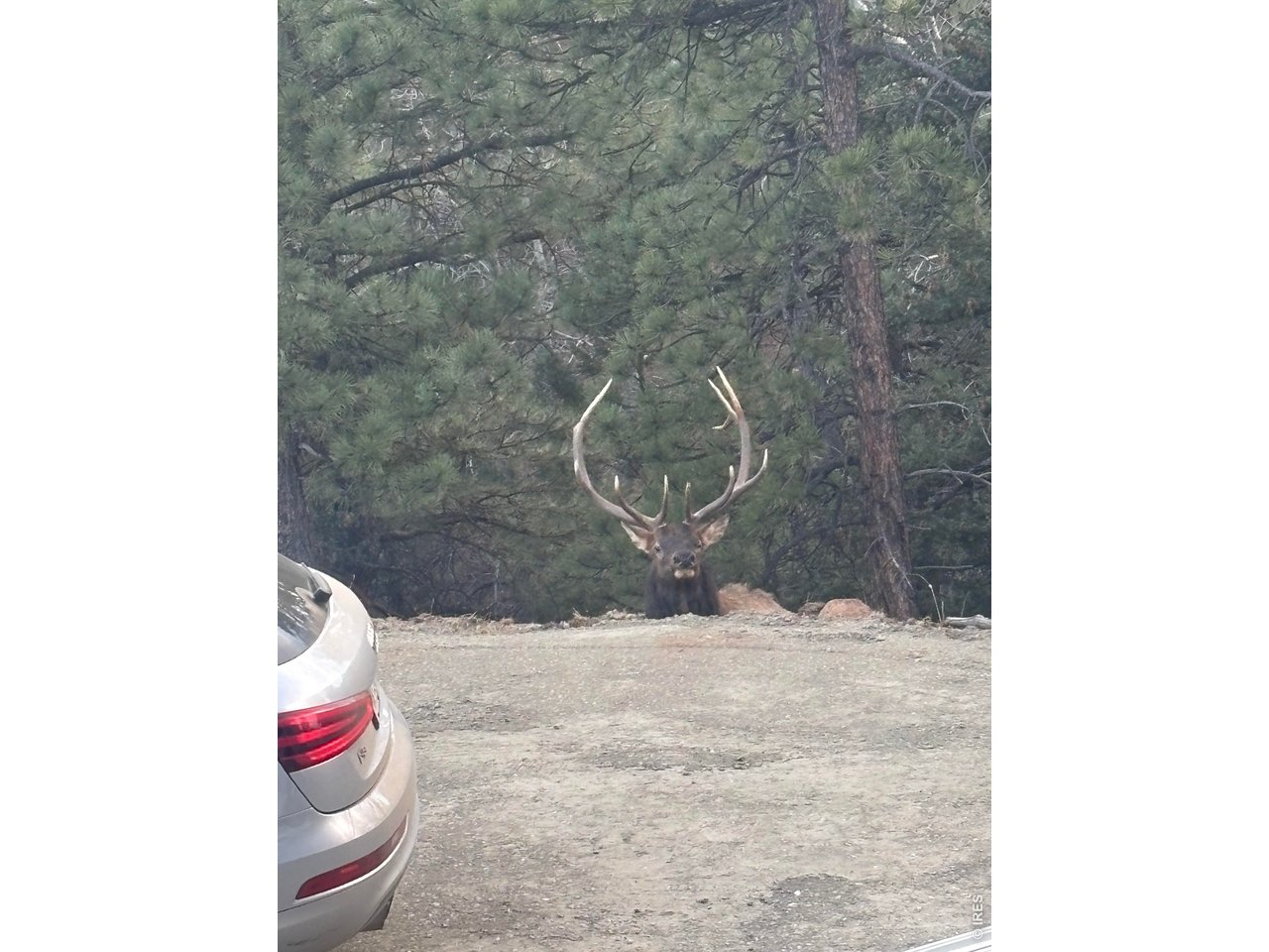 1406 Pika Rd