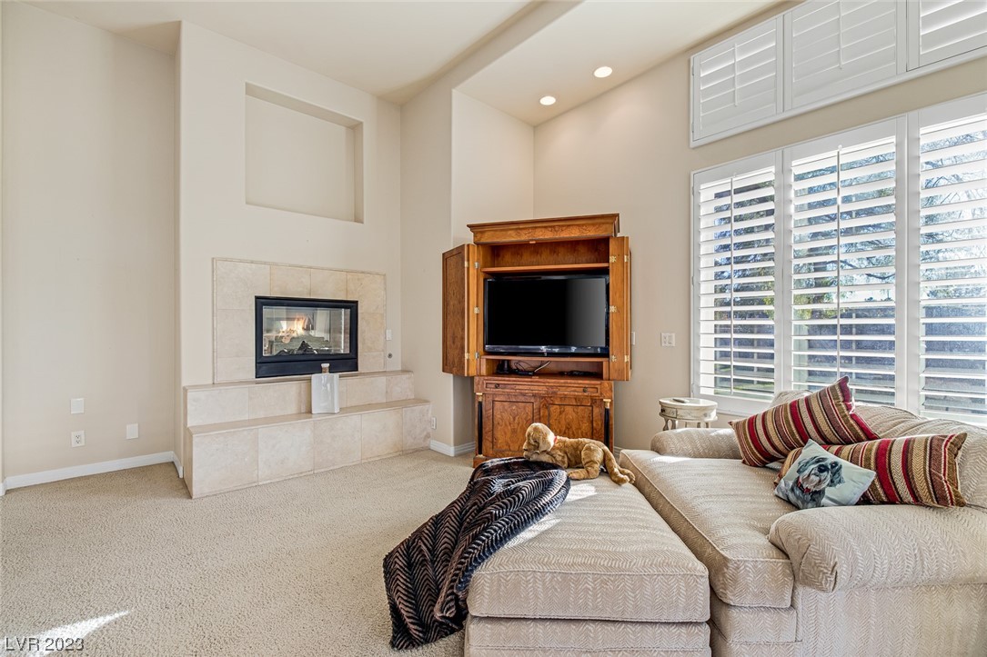 8109 Via Del Cerro Court