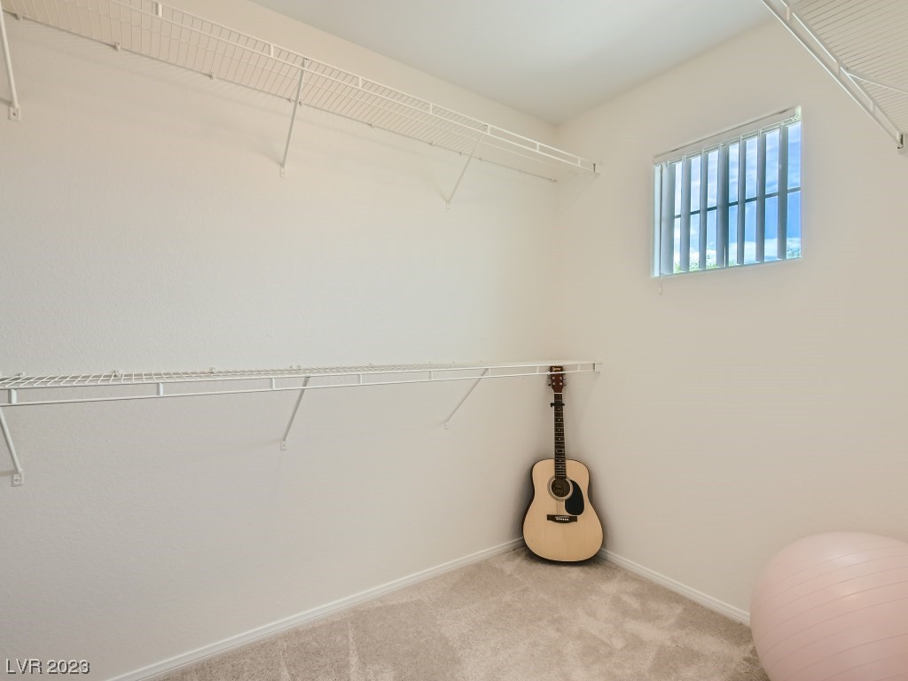 7641 Highland Pony Street