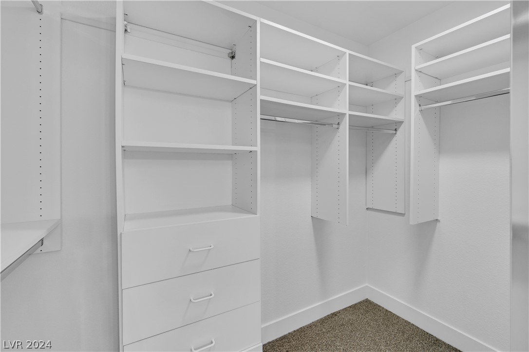 10040 Woodhouse Drive