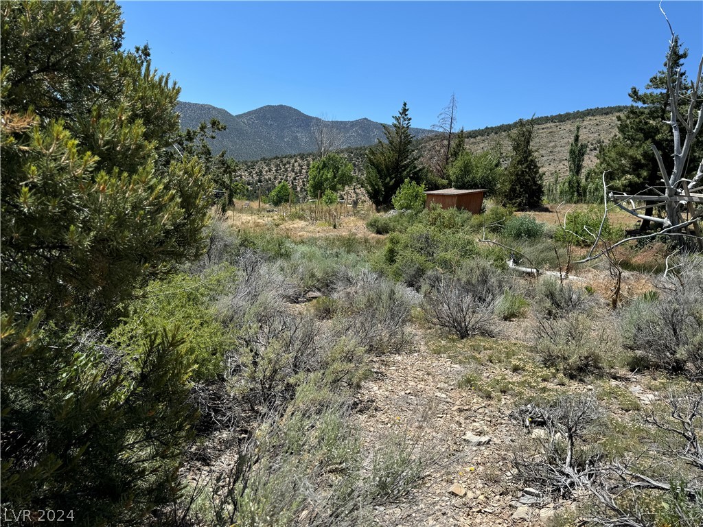 North Troutcanyon Road