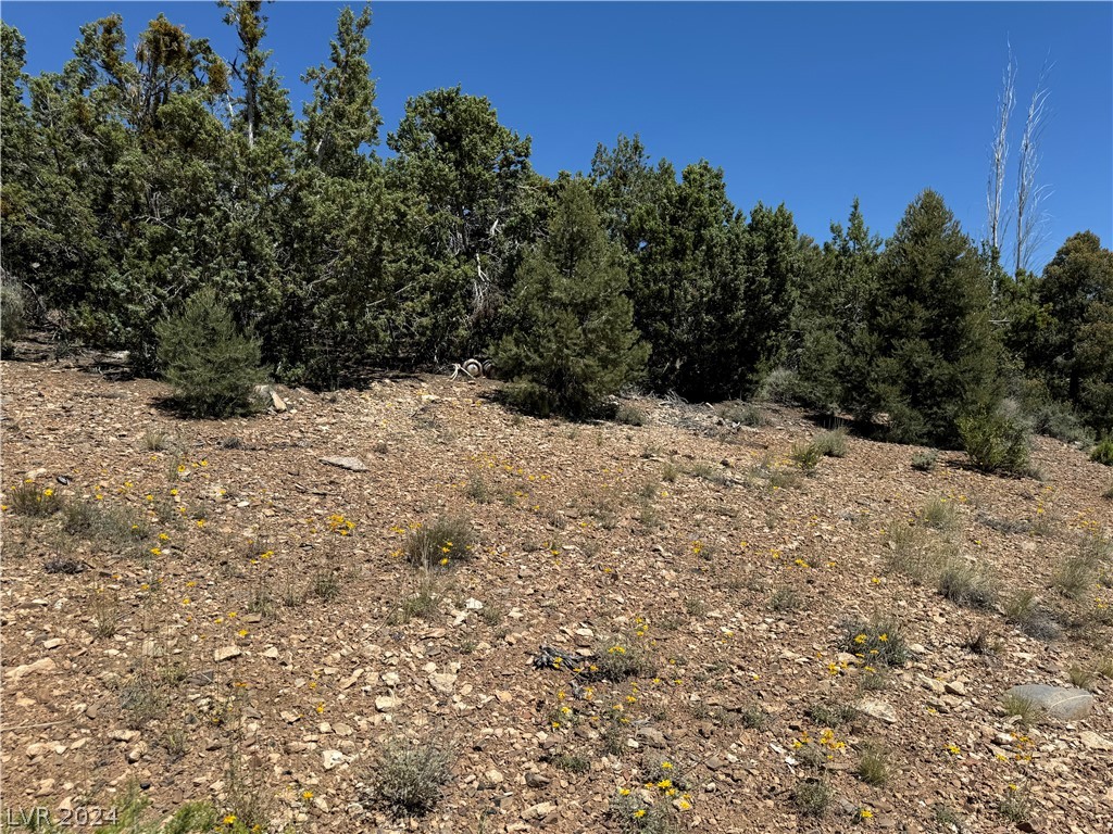 North Troutcanyon Road