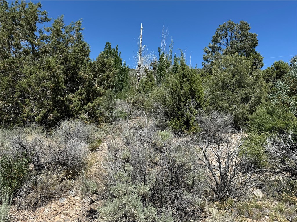 North Troutcanyon Road