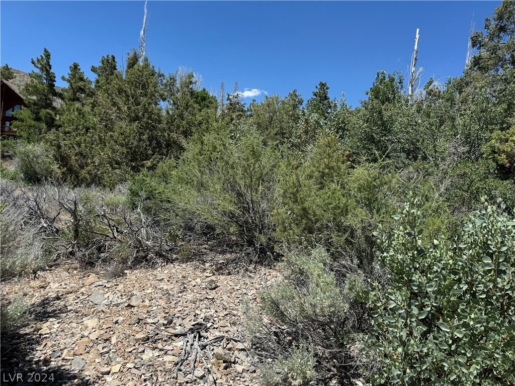 North Troutcanyon Road