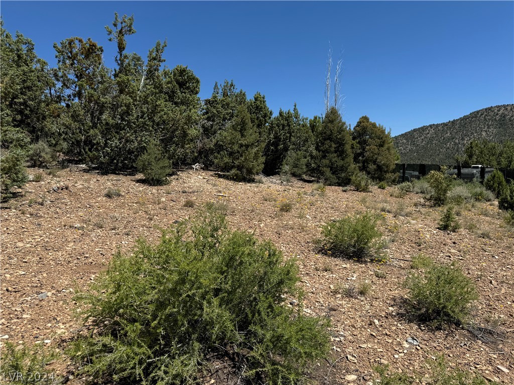 North Troutcanyon Road