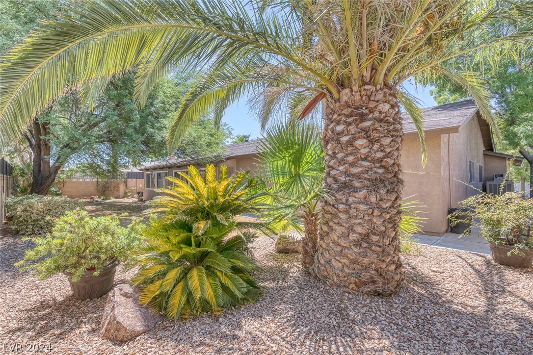 6210 Brea Boulevard