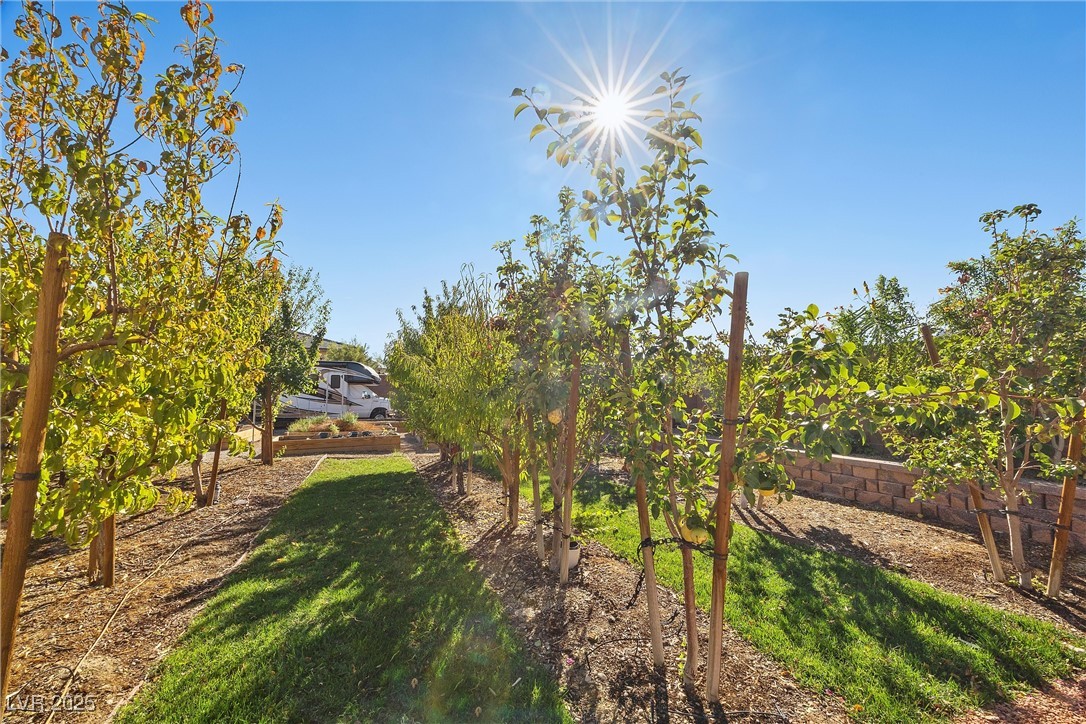 4081 Turquoise Falls Street