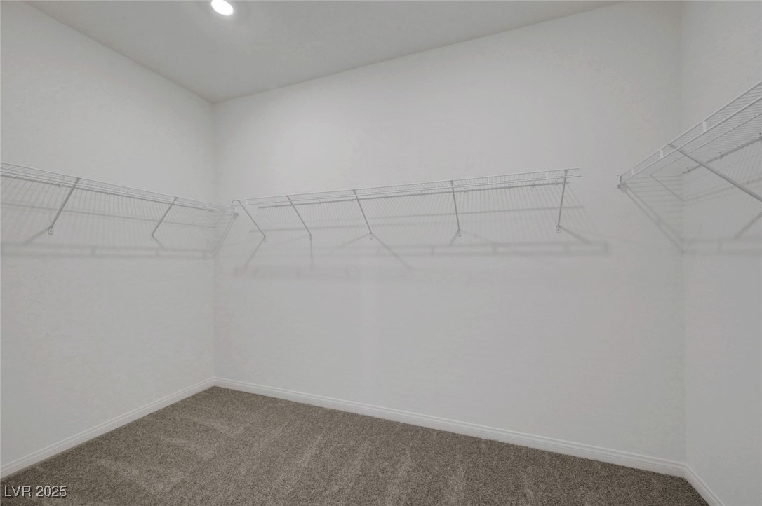 1586 Crested Eagle Street