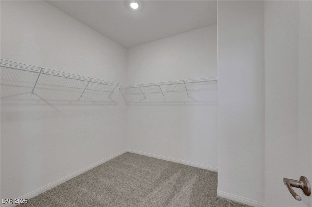 1586 Crested Eagle Street