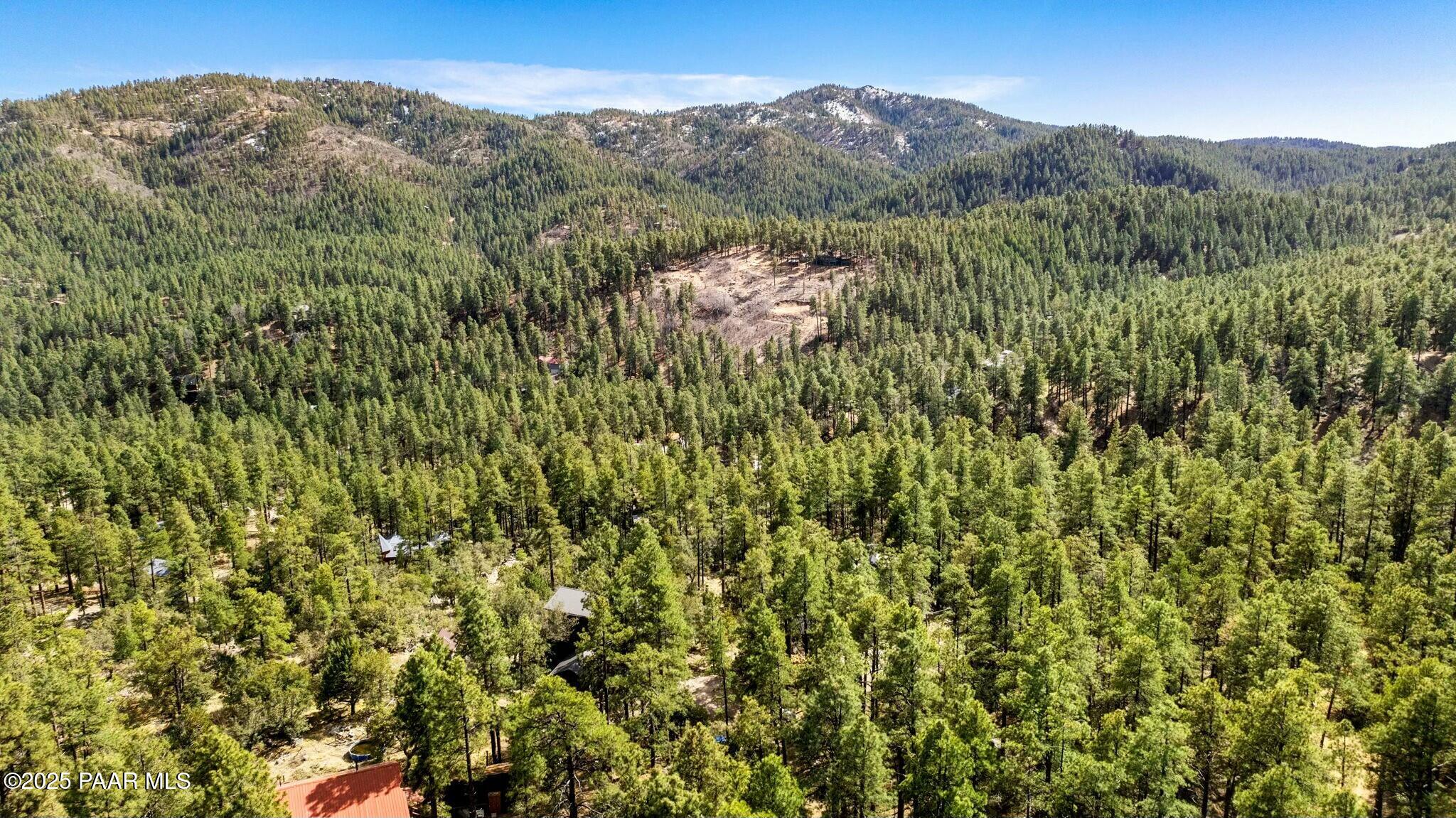 4975 E North Star Mine Road