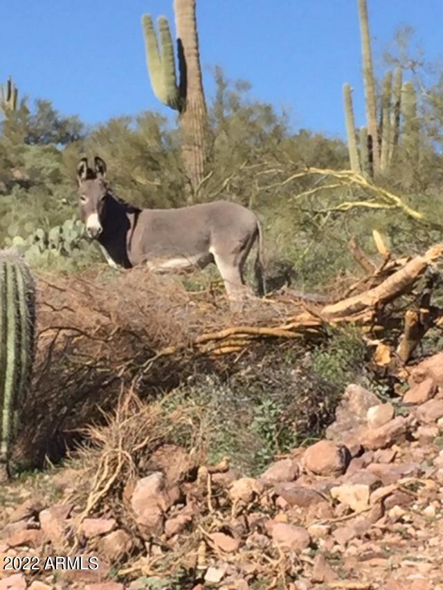 00xxx N Lake Pleasant Road, -