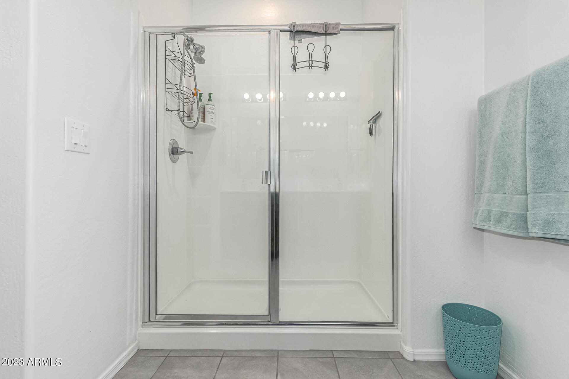 13206 W RED RANGE Way