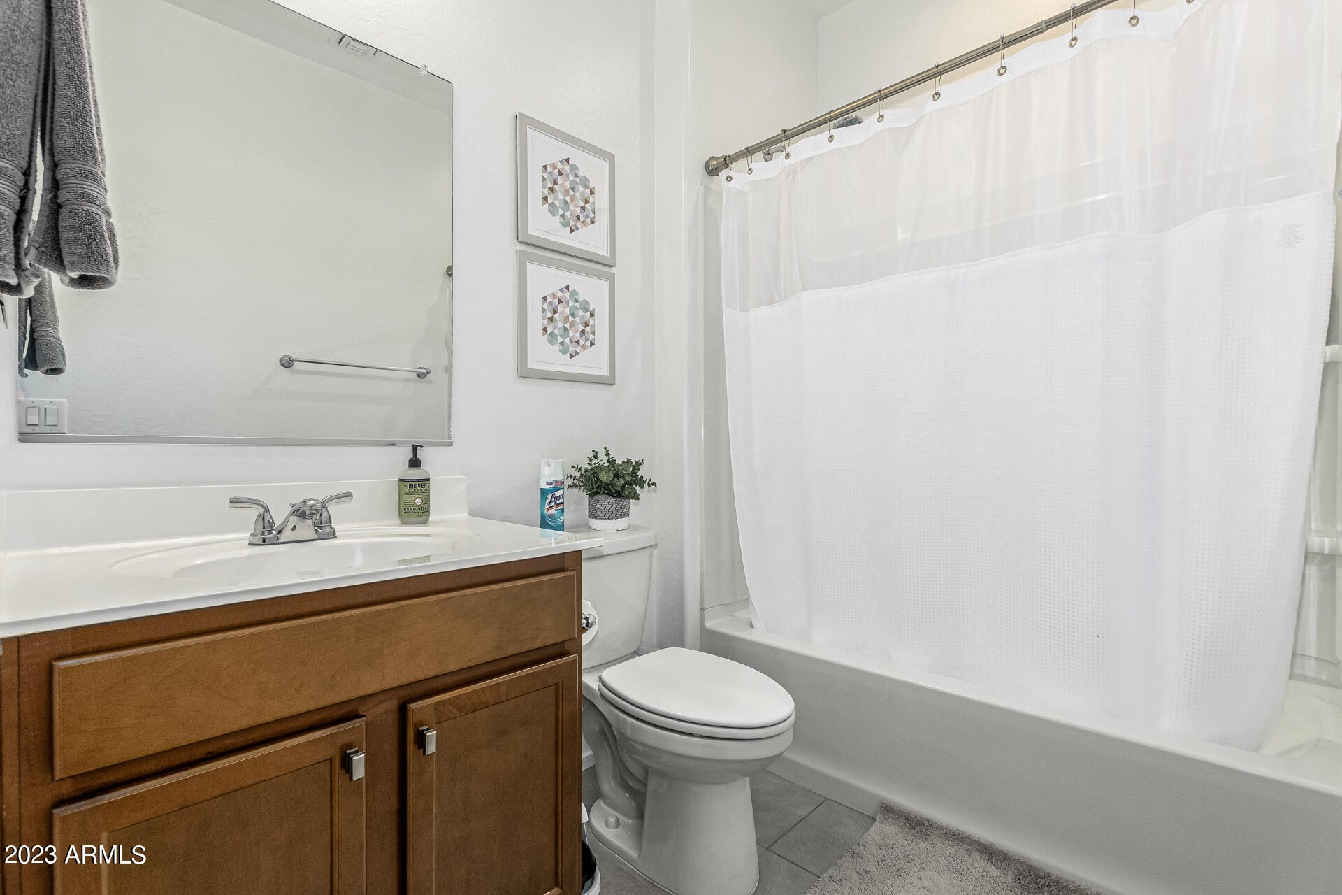 13206 W RED RANGE Way