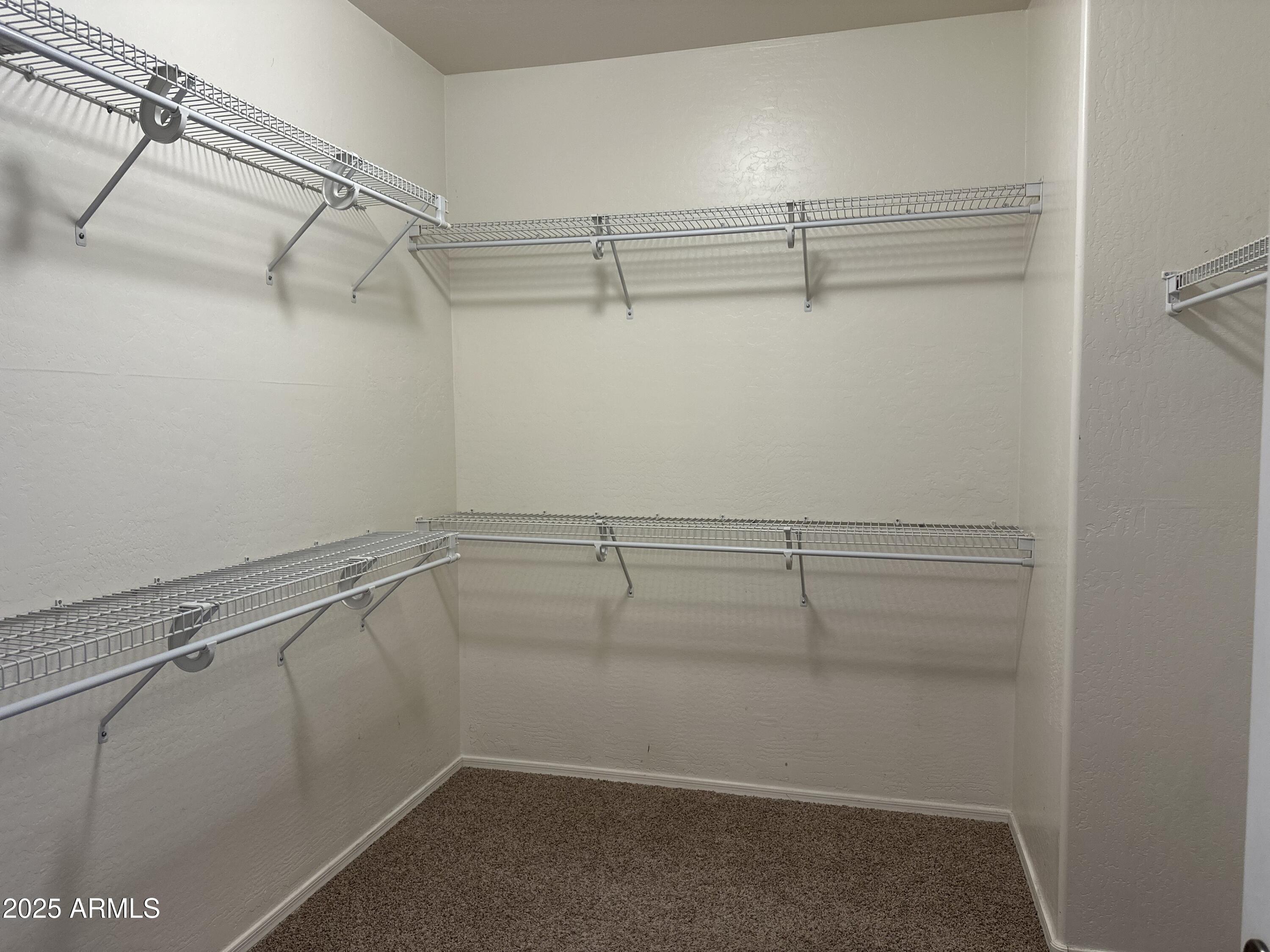 3886 S CRICKET Drive