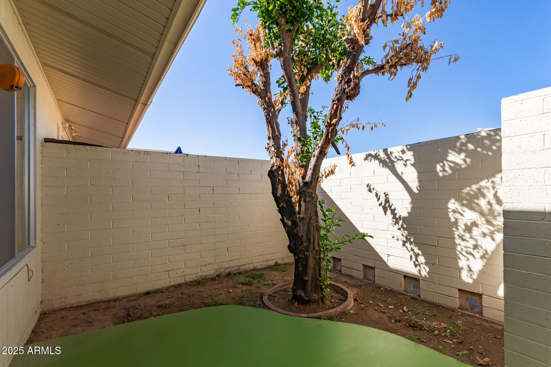 13642 N SILVERBELL Drive
