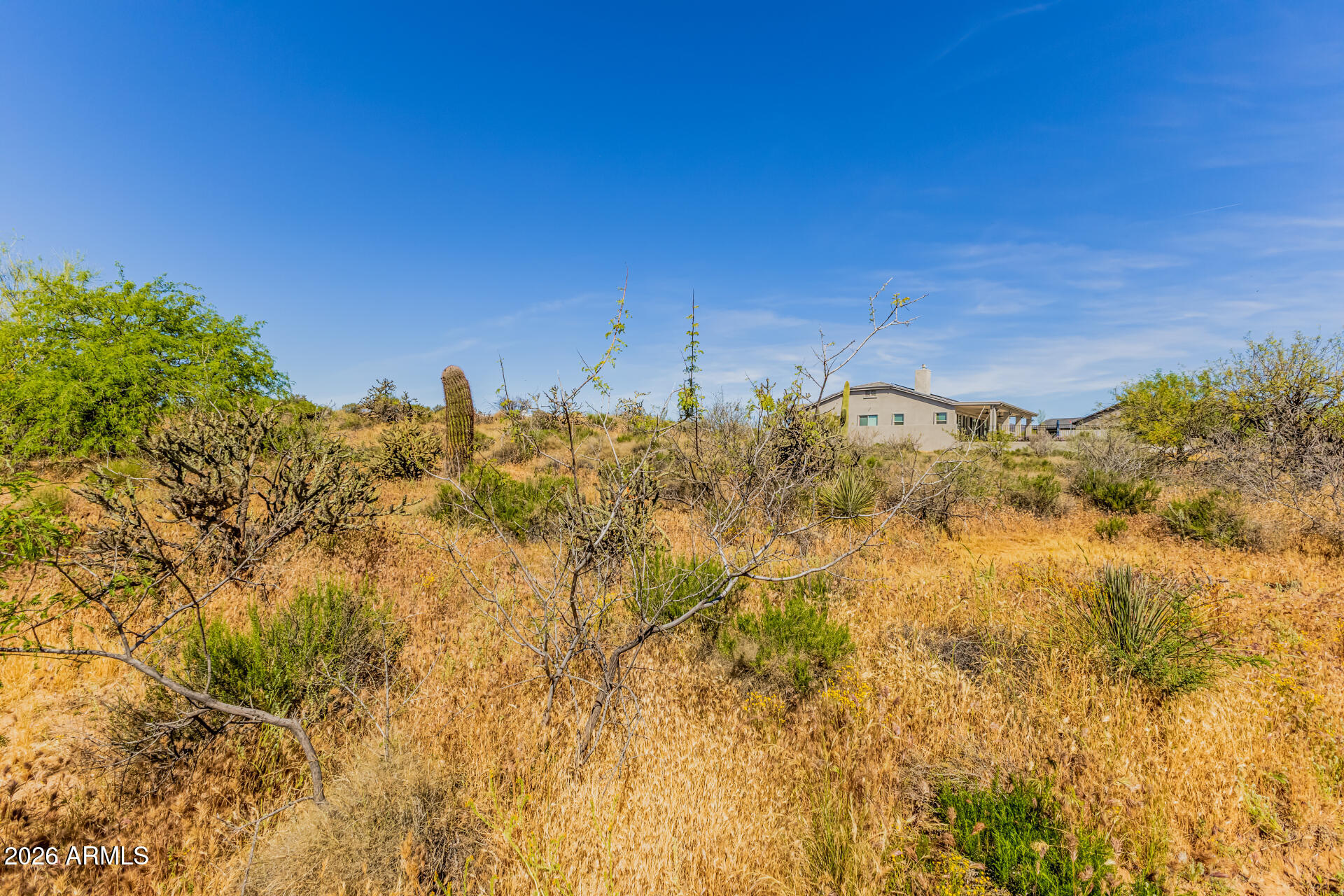 36576 N BOULDER VIEW Drive 46