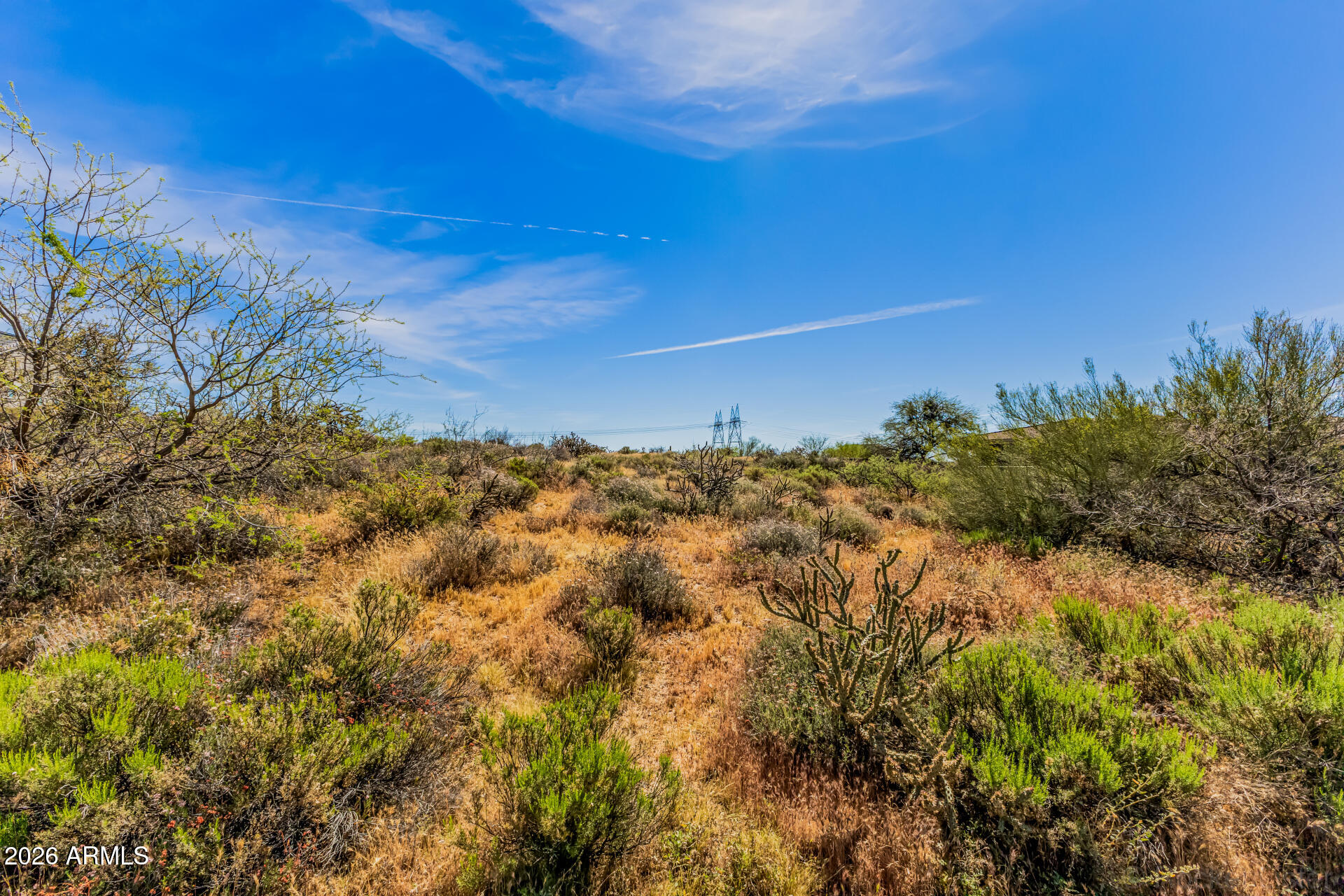 36576 N BOULDER VIEW Drive 46